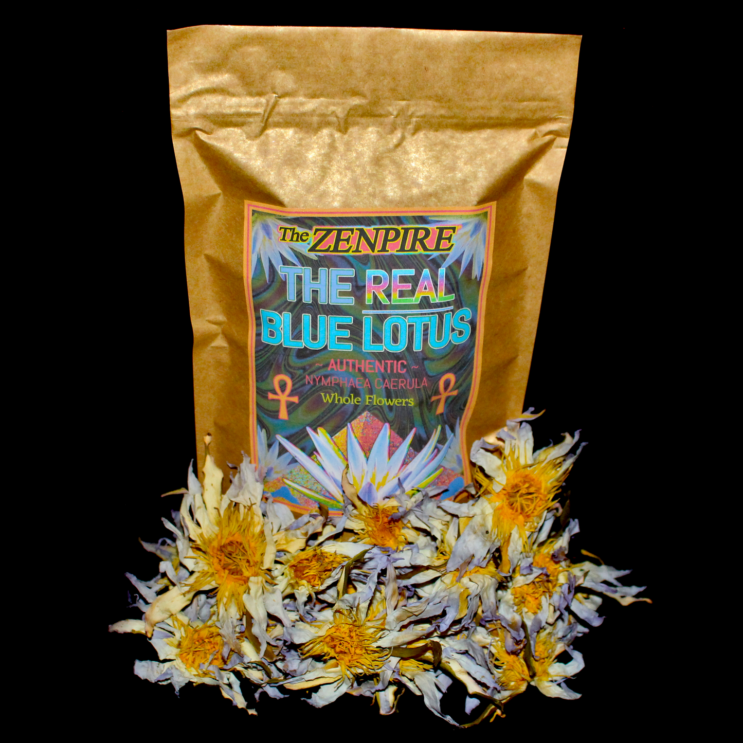 The REAL Blue Lotus Flower - Nymphaea caerula