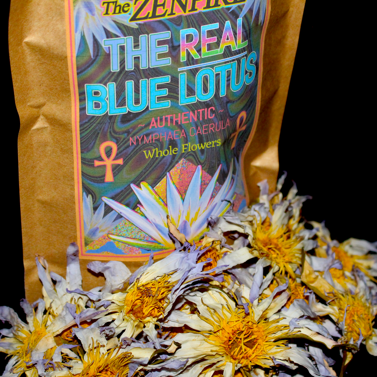 The REAL Blue Lotus Flower - Nymphaea caerula