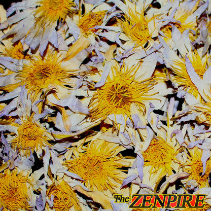 The REAL Blue Lotus Flower - Nymphaea caerula