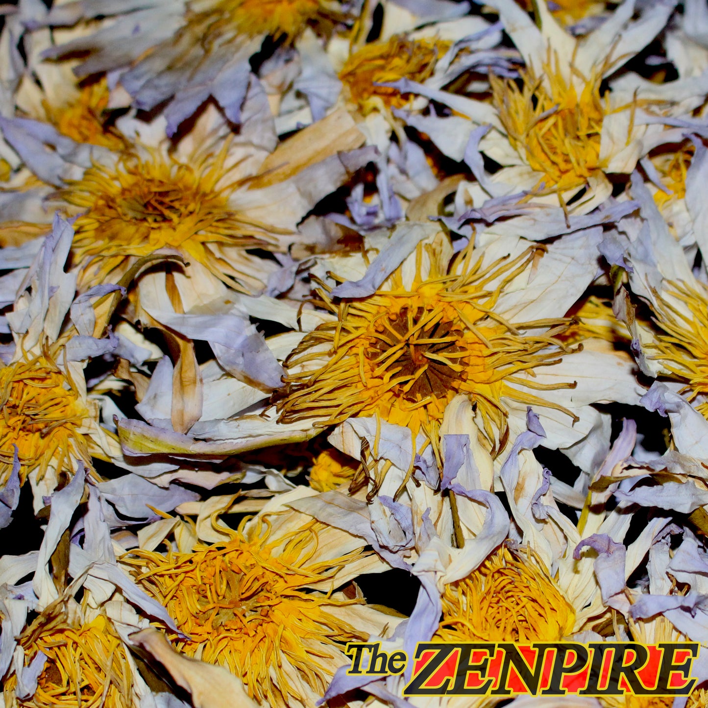 The REAL Blue Lotus Flower - Nymphaea caerula