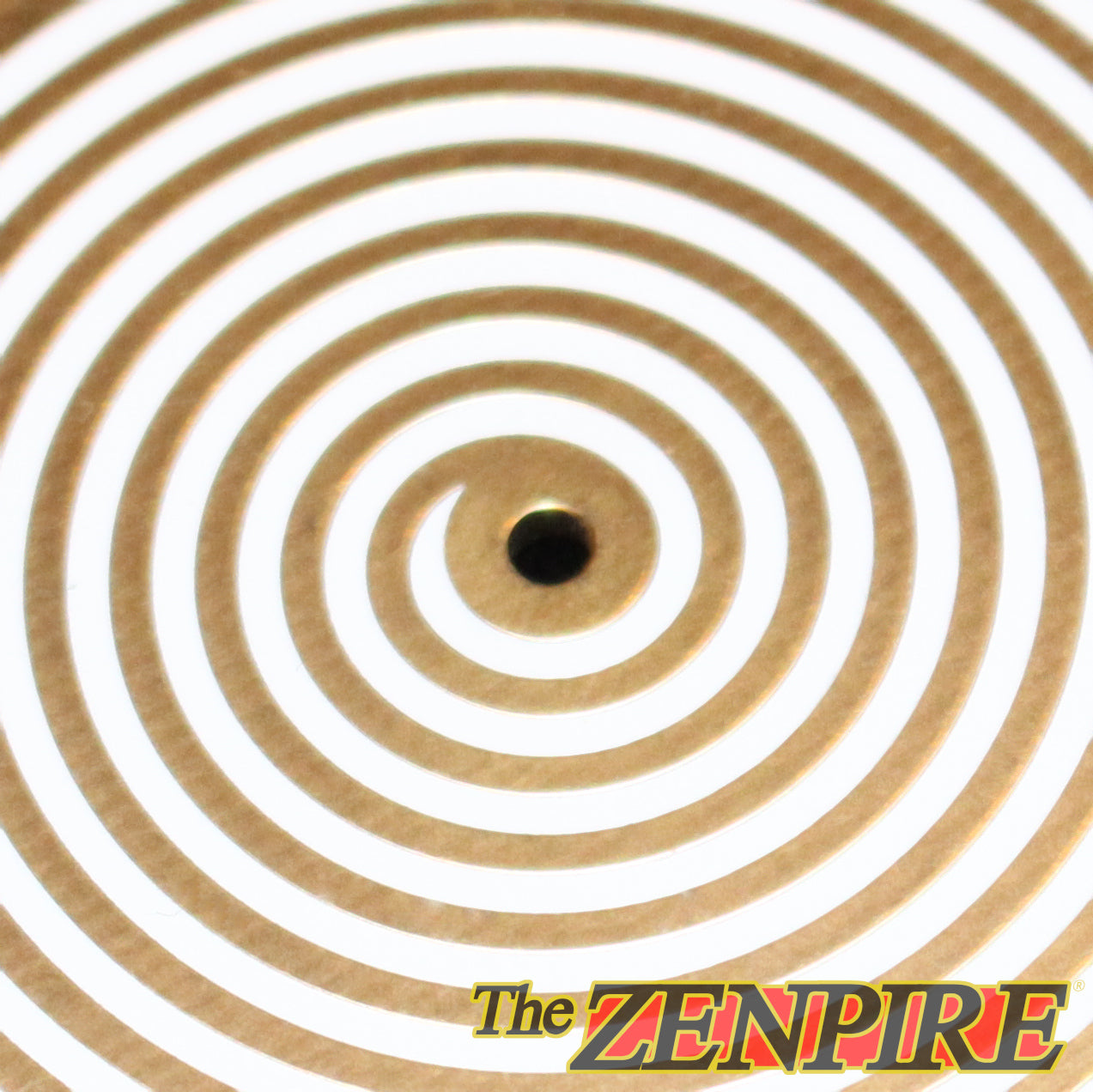 The MINI-Spiral Disk