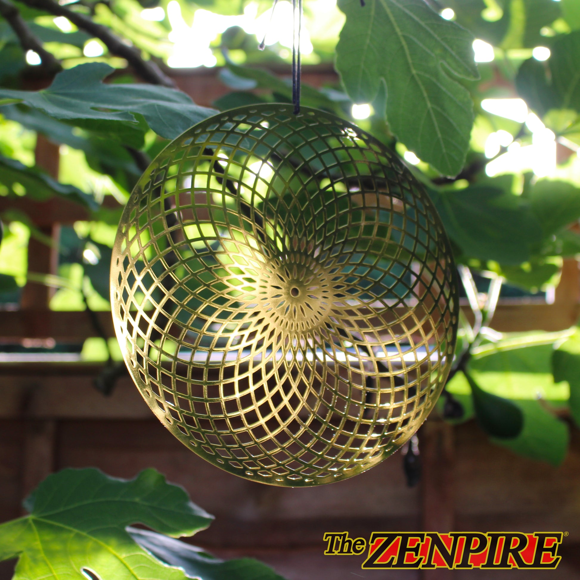 a metallic toroidal field disk made from brass hanging from a tree