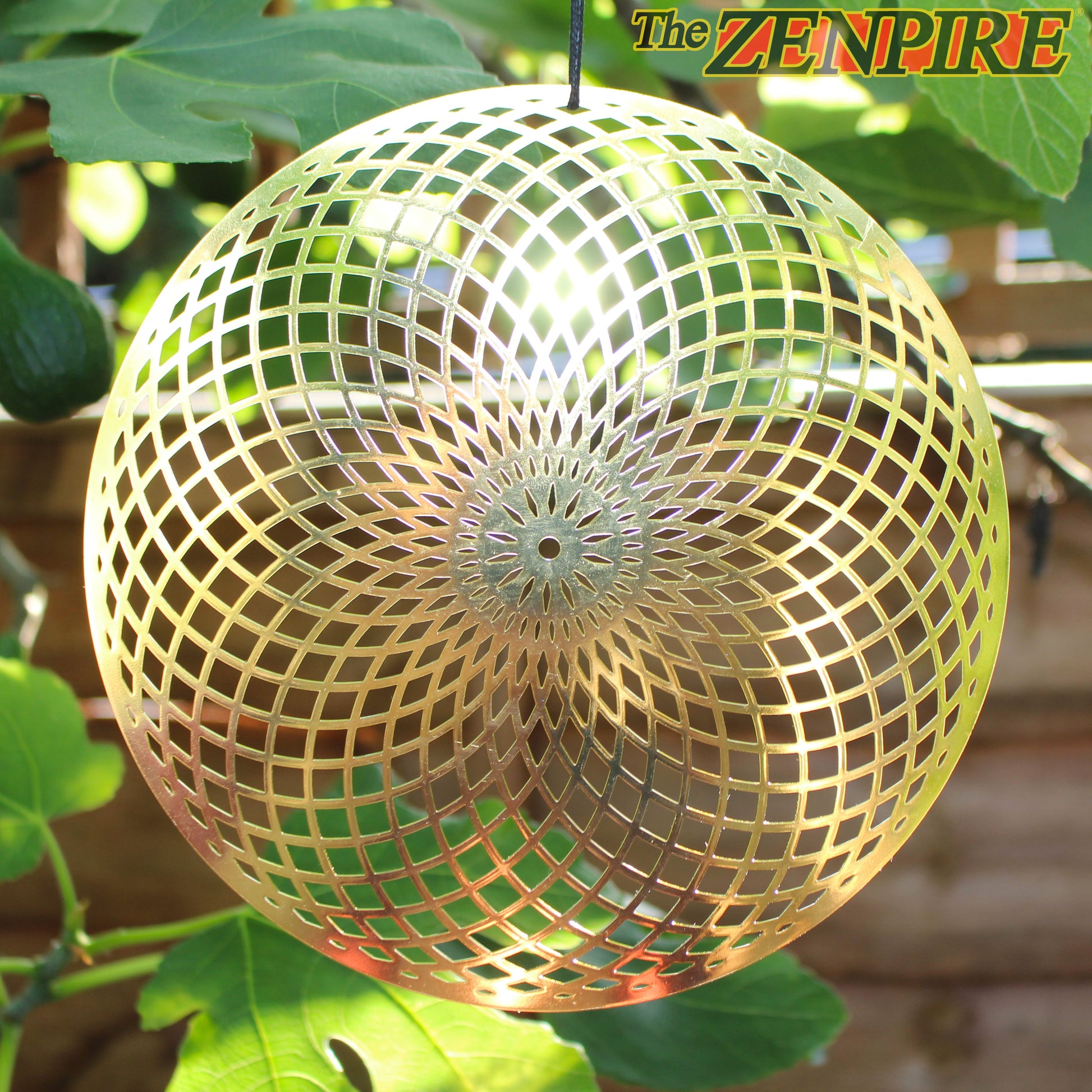 metallic brass healing disk in the shape of a torus or toroidal field hanging from a  tree