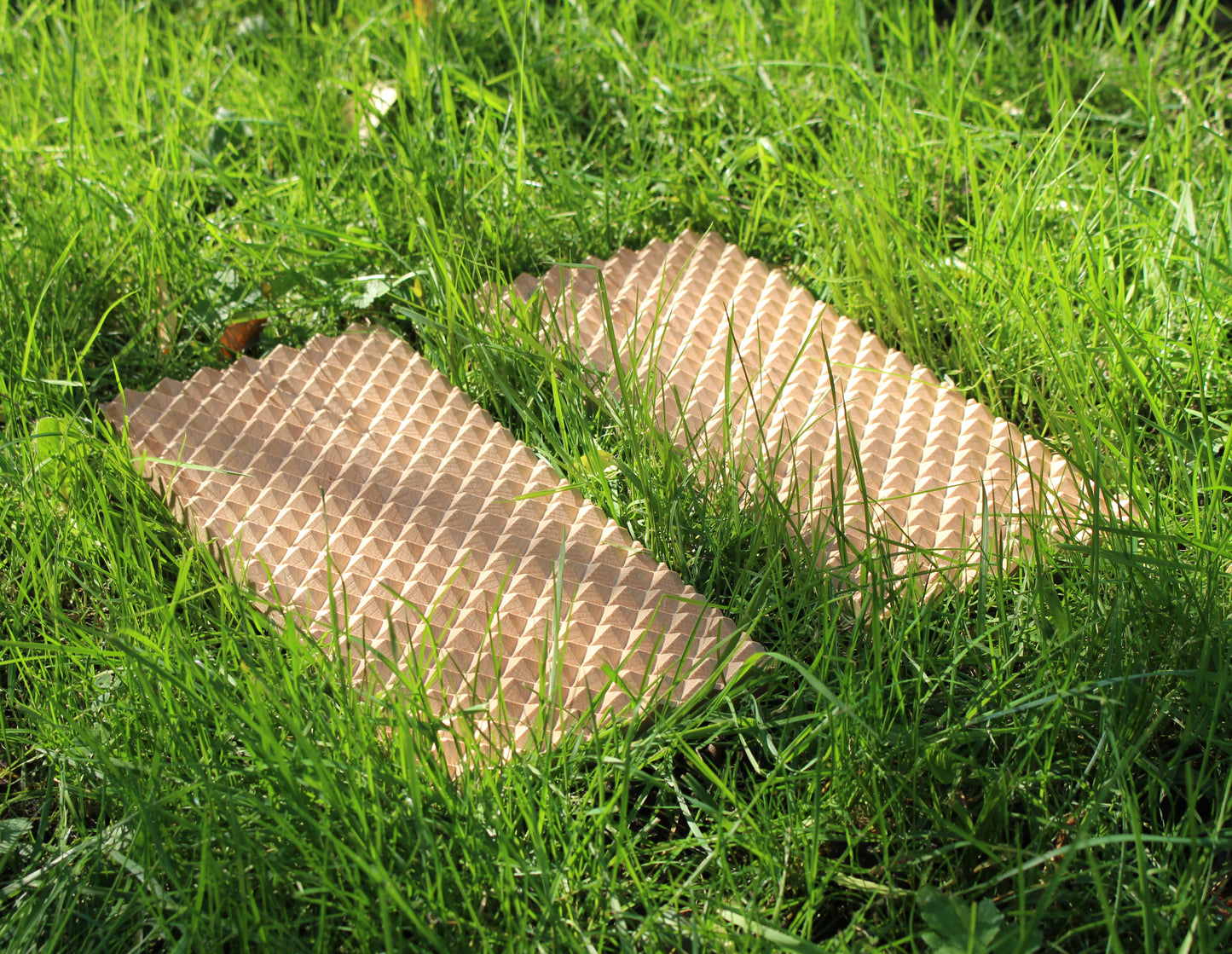 a beech wood acupressure board set on the grass for healing